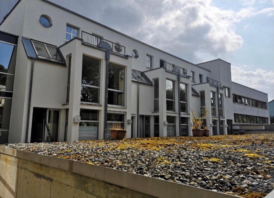 Nice Apartment , Next To University , Wifi&Free Parking Regensburg Bagian luar foto